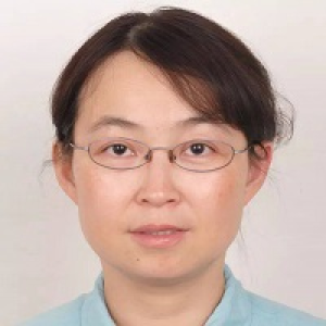 杨晓葵