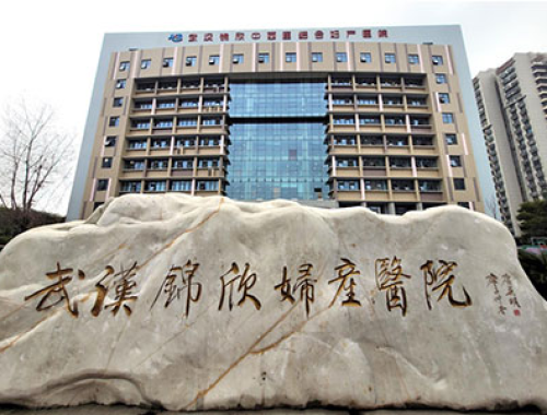 武汉黄浦中西医结合妇产医院 ( 武汉黄浦医院)